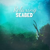 Relaxing Sea Bed