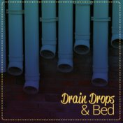 Drain Drops and Bed