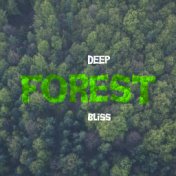 Deep Forest Bliss