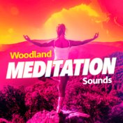 Woodland Meditation Sounds