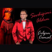 Sevdiğimi Aldım