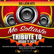 Me Soltaste - Tribute To Jesse y Joy