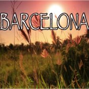 Barcelona - Tribute to Ed Sheeran