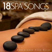 18 Spa Songs - Experience Pure Bliss with the Best Collection of Wellness Center Music with Nature Sounds with Rain, Wind, Ocean...