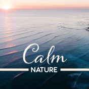 Calm Nature – Healing Music, Deep Sleep, Rest, Peaceful Melodies, Stress Relief, Zen
