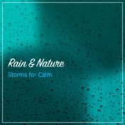 18 Rain and Nature Storms for Ultimate Calm