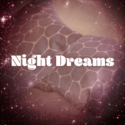 Night Dreams - Fairy Tale for Pillows, Lullaby for Dream, Sweet Dreams Baby Roo