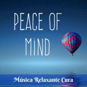 Peace Of Mind - Música Relaxante Cura para Meditação Diária Estimulação Cerebral Cura Espiritual com Sons da Natureza Instrument...