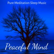 Peaceful Mind - Pure Meditation Sleep Music for Healthy Body Mindfulness Therapy Simple Life with Instrumental Nature New Age So...