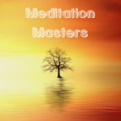 16 Meditation Masters - Nature and Rain Collection