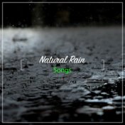 13 Natural Rain Songs for Inner Peace
