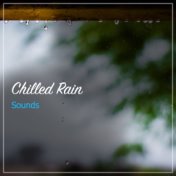 14 Chilled Rain Sounds to Drift Off & Sleep