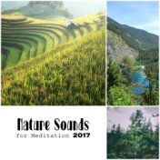 Nature Sounds for Meditation 2017 – Pure Mind, Zen Music for Relaxation, Sleep, Healing, Yoga, Stress Relief, Sounds of Birds, G...