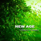 New Age Nature Sounds – Soft New Age Music to Relax, Stress Free, Mind Calmness