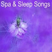 12 Spa and Sleep Rain Tracks