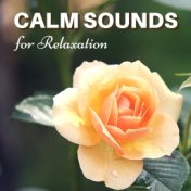 Calm Sounds for Relaxation - Gentle Songs to Revitalize, Music with Delicate Sounds of Nature