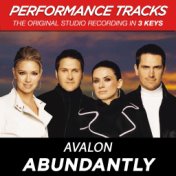 Abundantly (Performance Tracks)