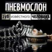 Зуб известного человека