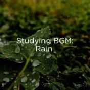 !!" Studying BGM: Rain "!!
