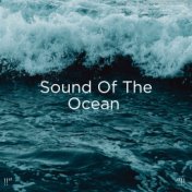 "!! Sound Of The Ocean "!!