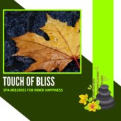 Touch Of Bliss - Spa Melodies For Inner Happiness