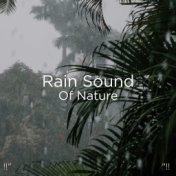 !!" Rain Sound Of Nature !!"