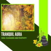 Tranquil Aura - Soul Cleansing And Positivity