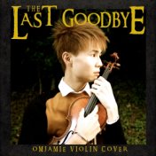 The Last Goodbye (Violin Cover) (from The Hobbit: The Battle Of The Five Armies)