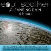 Cleansing Rain Sounds