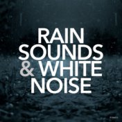 Rain Sounds & White Noise