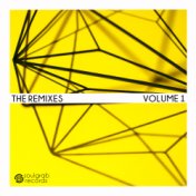 The Remixes