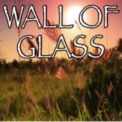 Wall Of Glass - Tribute to Liam Gallagher