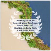 Relaxing Music for Concentration, Zen, Sleep, Study, Baby, Soft, Meditation, Yoga, Cool, Chill, Calm, Slow