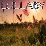 Lullaby - Tribute to Sigala and Paloma Faith