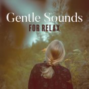 Gentle Sounds for Relax: Wonderful Moments with 15 Best Songs Perfect for Restful Relaxation, Spirit of Harmony, Feel Better wit...