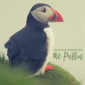 The Puffin