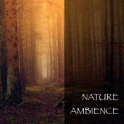 Nature Ambience
