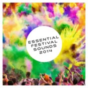 Essential Festival Sounds 2014