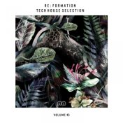 Re:Formation, Vol. 45 - Tech House Selection