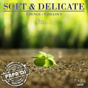 Soft & Delicate Lounge-Chillout, Vol. 1 (Selected by Papa DJ)