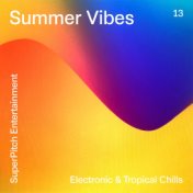 Summer Vibes (Electronic & Tropical Chills)