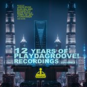 12 Years of Playdagroove! Recordings, Vol. 2