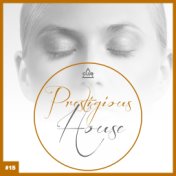 Prestigious House, Vol. 15