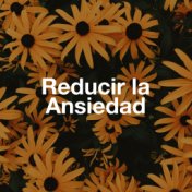 Reducir la Ansiedad - Canciones para lograr la Paz Interior de Alma y Cuerpo