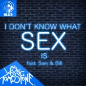 I Don't Know What Sex Is (Blue Version)