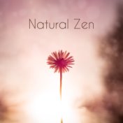 Natural Zen – Meditation Music Zone, Nature Sounds for Sleep, Deep Meditation, Relaxation, Zen, Reiki, Yoga Training, Mindfulnes...