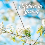 Nature in Spring: Sounds of Nature, Birds, Water and Rain, Animals, Soothing Music with Piano Melodies