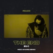 The End (Nico Aviario Remix) 