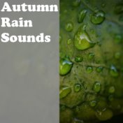 Autumn Rain Sounds
