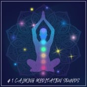 # 1 Calming Meditation Sounds